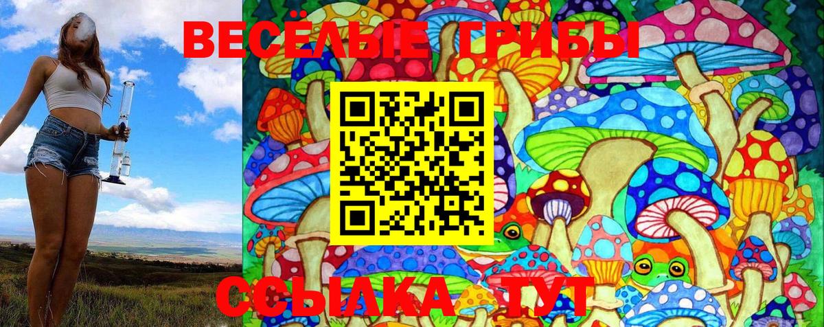 Псилоцибиновые грибы Psilocybine cubensis  Галлюциногенные грибы GOLDEN TEACHER  Назарово  Вход с VPN 